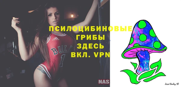дживик Алзамай