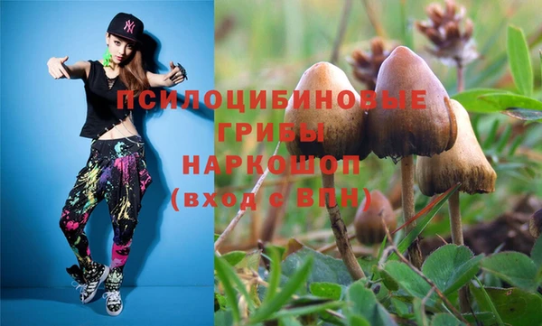 дживик Алзамай