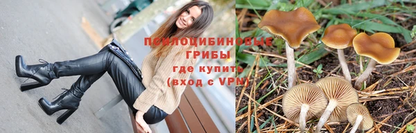 кокс Алексеевка