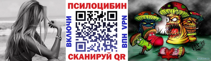 Псилоцибиновые грибы MAGIC MUSHROOMS  сколько стоит  Ветлуга 
